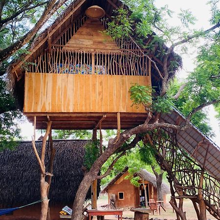 Yala Village Eco Tree House Tissamaharama Exterior foto
